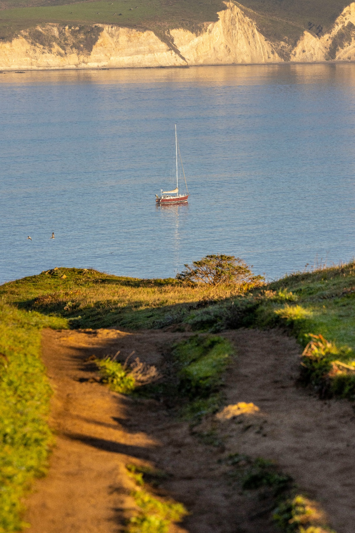 Point Reyes landscape