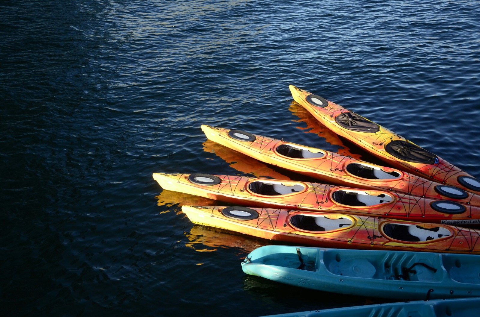 Colorful kayaks on Tomales Bay