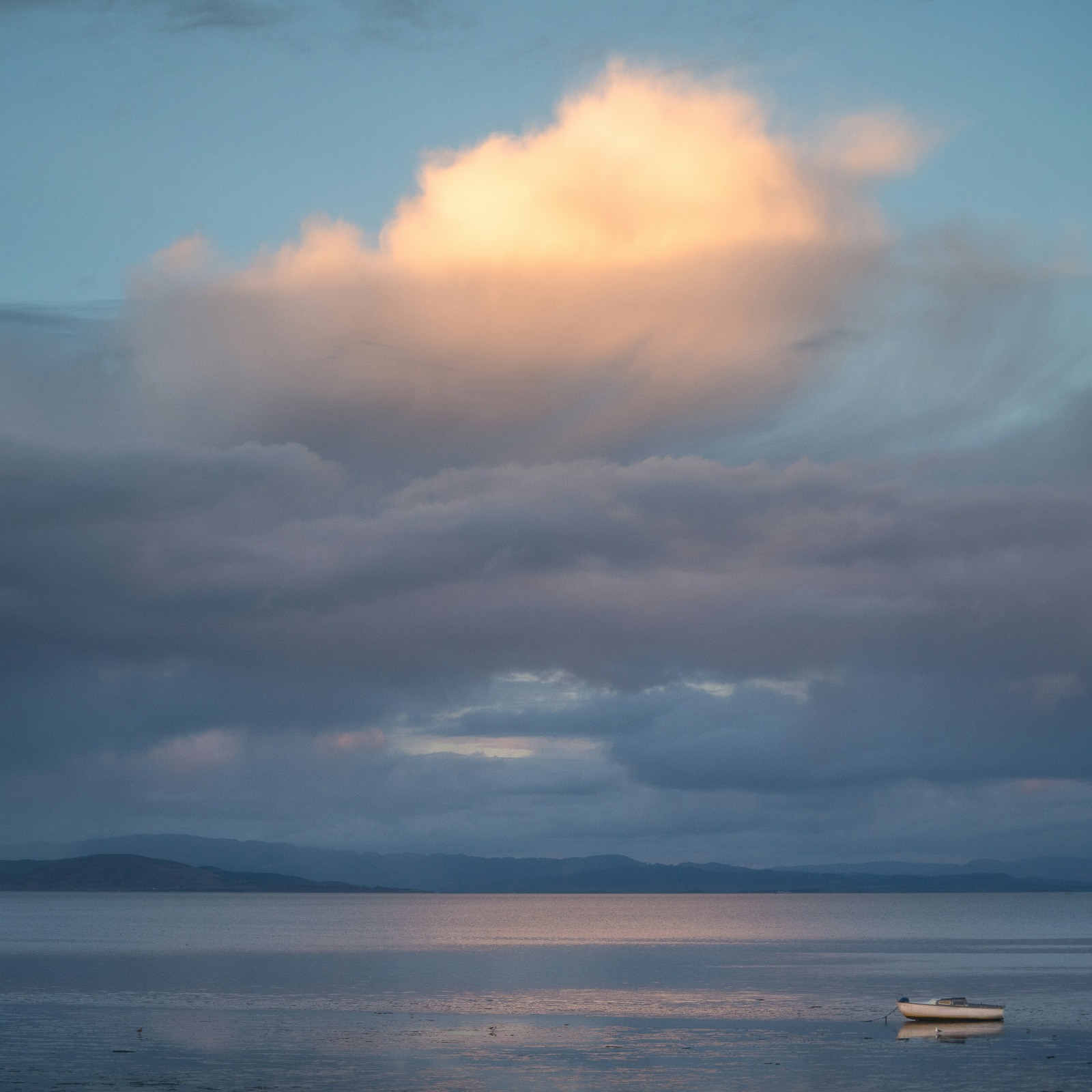 Evening light over the bay