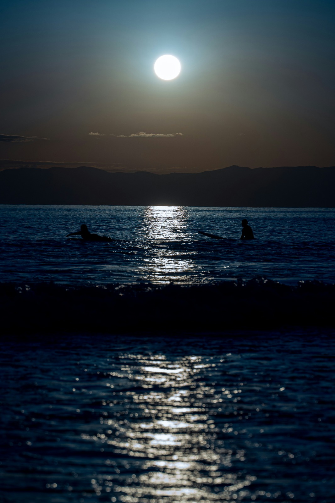 Silhouettes beneath the moon